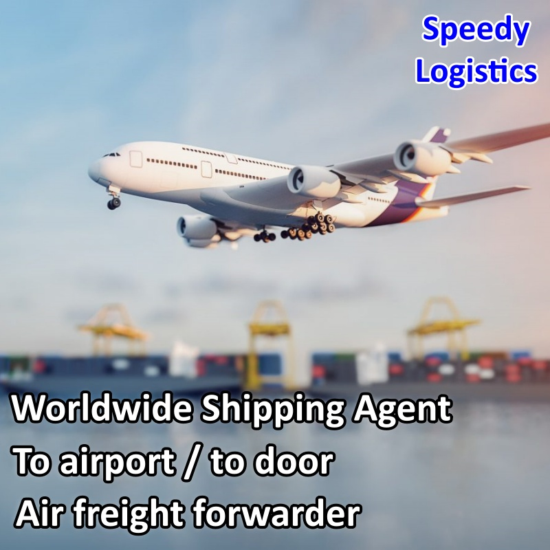 Sea Cargo Shipping Agent Freight Forwarder Shipping to USA, Canada, UK, Nigeria, Ghana, Malaysia International Shipping Company Logistics Service