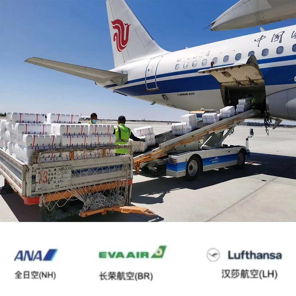 Air Freight to Africa Cape Town Durban Johannesburg Express Shipping Logistics Services DDP Shipping Agent