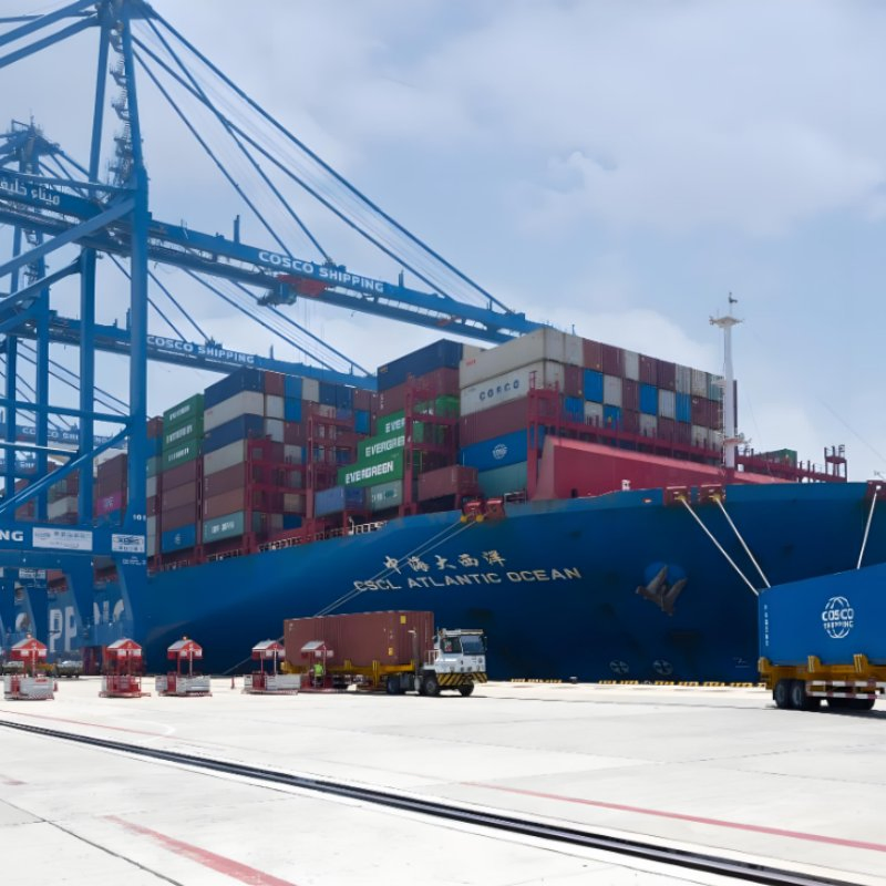 Cheap Sea Freight Forwarder to Cambodia, Norway, Egypt, India, Morocco DDP Service