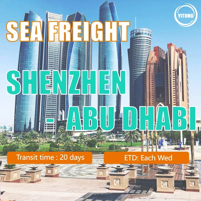 Consolidation Service Shipping Service in China Shipping Agent Sea Freight Freight Forwarding Shipping From Shenzhen to Abu Dhabi