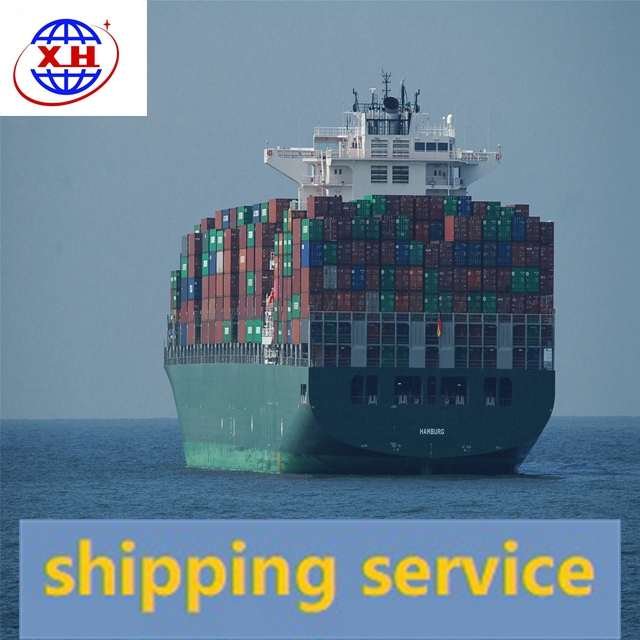 Sea Transport Shipping Agent From China To South Africa DDP DDU Service Sea Freight Logistics
