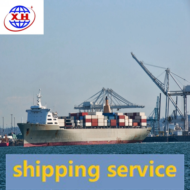 Sea Transport Shipping Agent From China To South Africa DDP DDU Service Sea Freight Logistics
