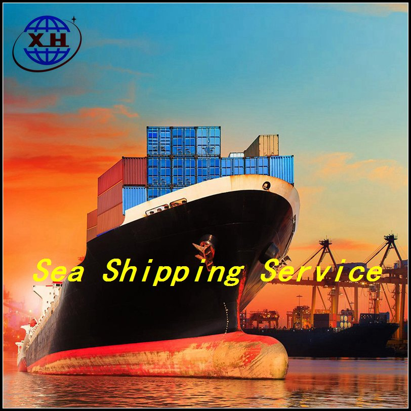 Sea Transport Shipping Agent From China To South Africa DDP DDU Service Sea Freight Logistics