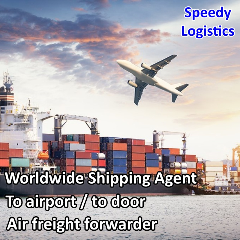 Sea Cargo Shipping Agent Freight Forwarder Agent to Malaysia, Singapore, Thailand, Vietnam, Germany, UK International Shipping Company Logistics Service