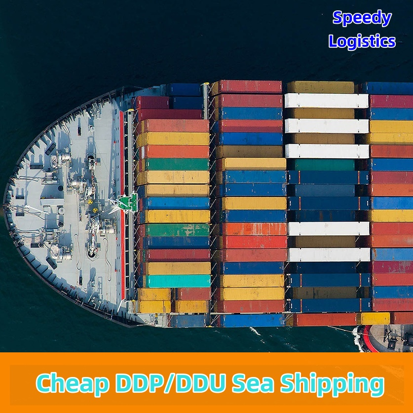 Door to Door Shipping From China to Germany, USA by Sea DDP Service