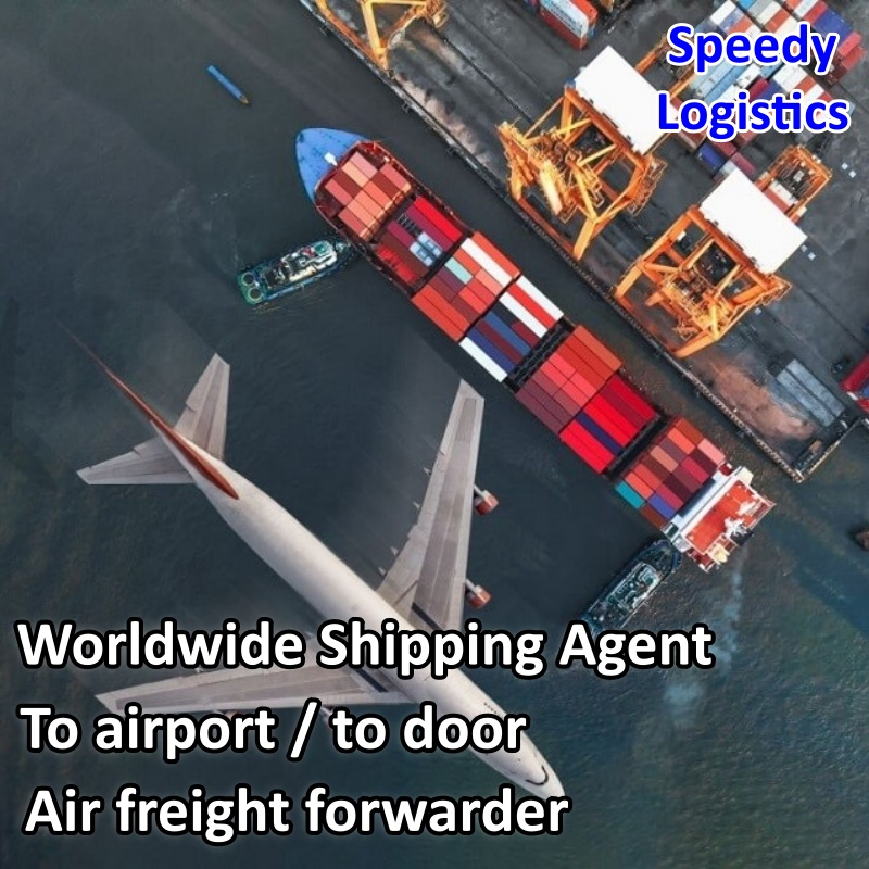 Sea Cargo Shipping Agent Freight Forwarder Shipping to Vietnam, India, Philippines, Malaysia, Singapore International Shipping Company Logistics Service