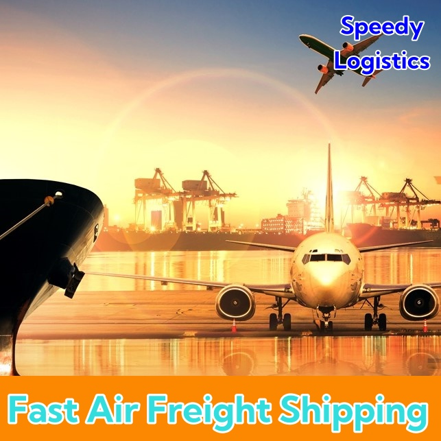 Air Cargo Logistics DDP Services to USA, UK, Europe, Germany, France, Hungary, Germany, Austria, Switzerland, Liechtenstein