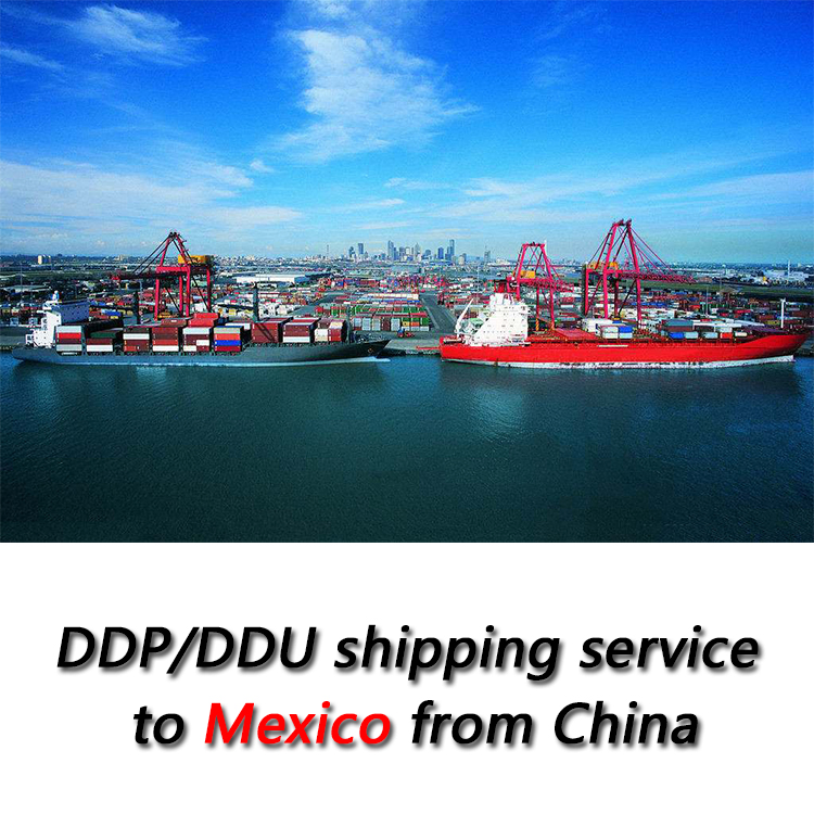 Forwarding Agent Sea Freight Shipping Cost Rates Professional China to Mexico