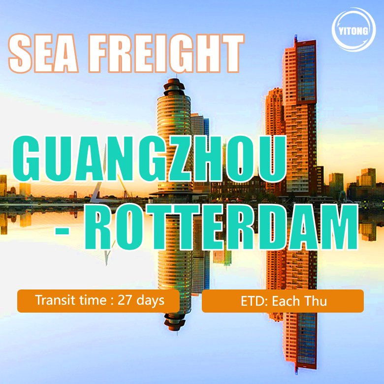 Logistics Agent Freight Forwarder Forwarder Shipping Agent Export Agent Shipping Agent Sea Freight From Shenzhen China to Rotterdam Holland