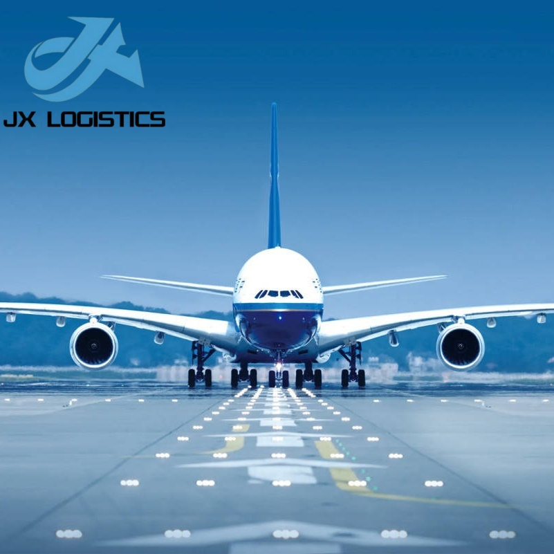 Reliable Sea Freight Forwarder for International Cargo Transportation