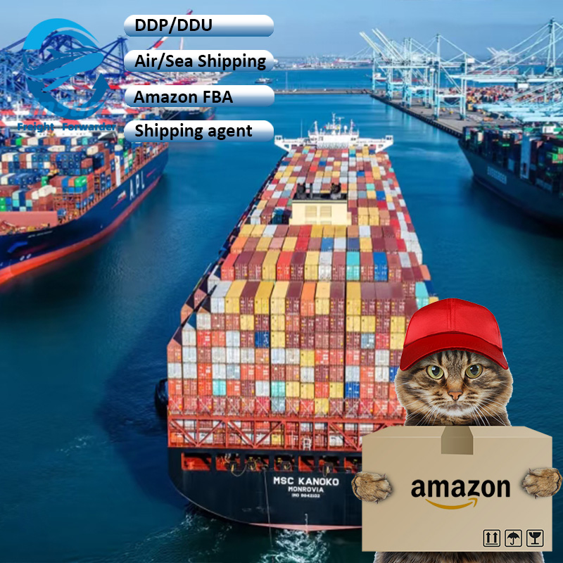 Inspection Service Sea Cargo Shipping From China to Italy /Spain/Austria /UK