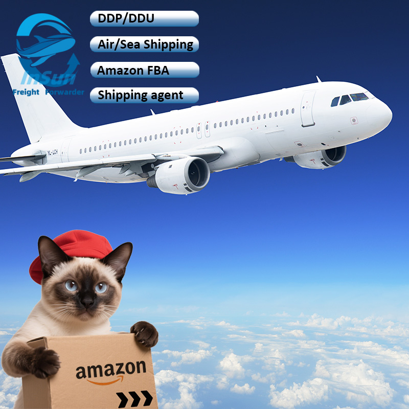 Top 10 International Shipping Company in China Through Air/Sea/Express/Truck Delivery Service to UAE UK USA Europe