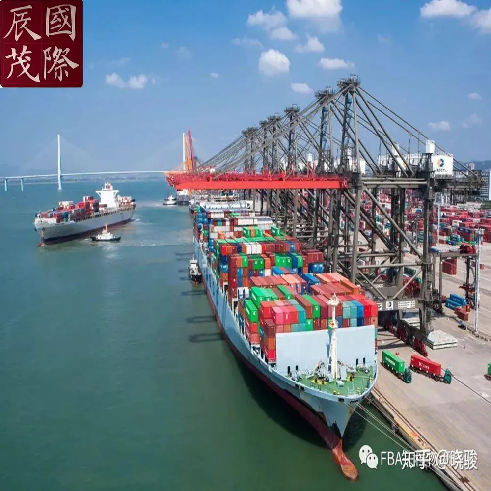 Professional Freight Agent / Experienced Logistics Service Provider/ Container Shipment From China to USA, Mozambique, Malawi, Zambia, South Africa, by Sea/Air