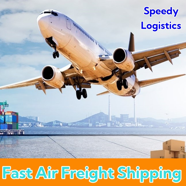 Air Cargo Logistics DDP Services to USA, UK, Europe, Germany, France, Hungary, Germany, Austria, Switzerland, Liechtenstein