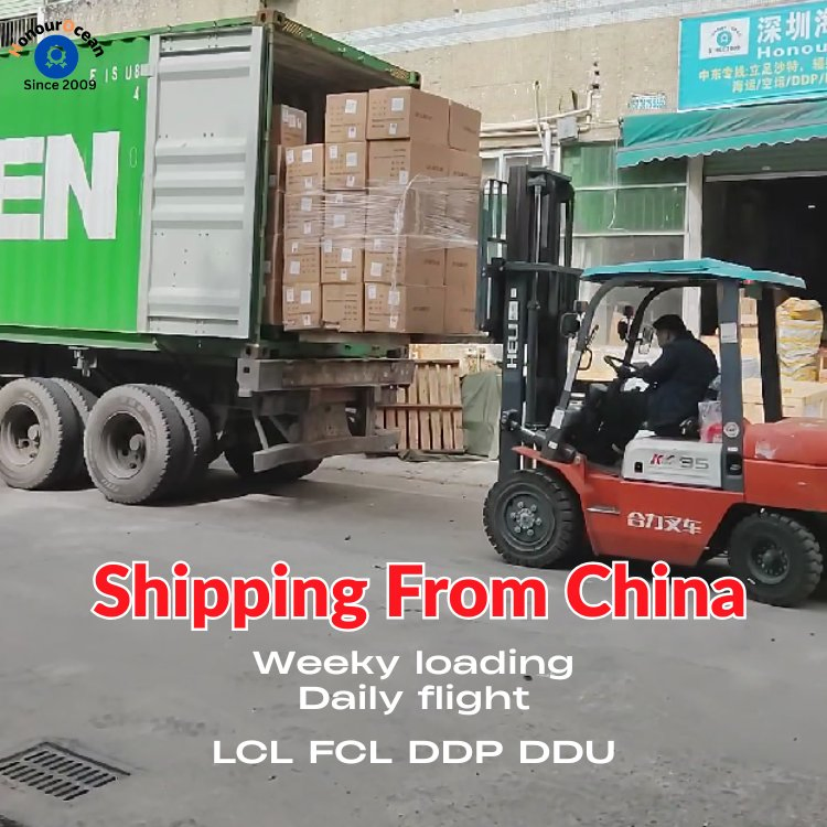 Cargo Warehouse Consolidation Service De Transitaire Air Sea Shipping Agent Freight Forwarder From China to USA Canada SA UAE Europe