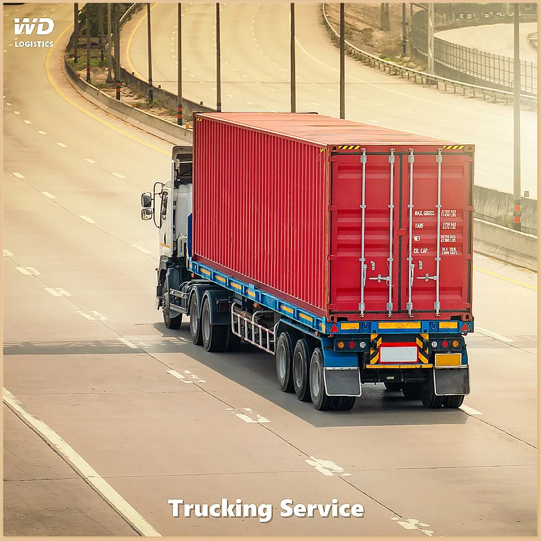 Express Sea/Ocean Freight Forwarder Rate Logistics Service Agent Shipping to Venezuela From China Price