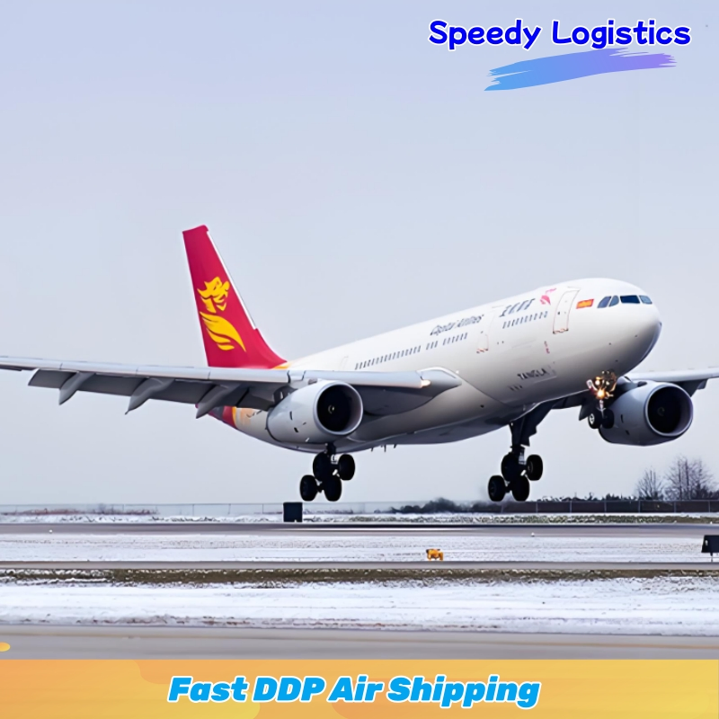 Sea Cargo Shipping Agent Freight Forwarder Shipping to USA, Canada, Sweden, India, Morocco, Mexico, Malaysia, Taiwan, Vietnam, India, Philippines Logistics