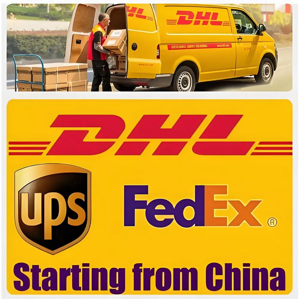 DDP/DDU Sea Shipping Agent From China to UK Door-to-Door Freight Forwarder LCL+Express Logistics