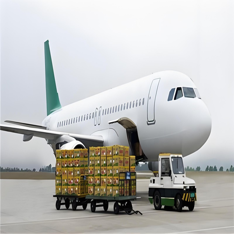 Fast Shipping Agent/LCL /Air Sea Shipping/Freight Forwarder DDP DDU