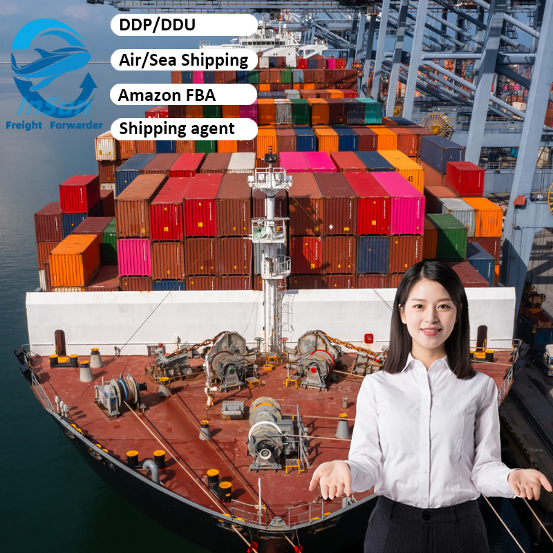 FedEx/UPS/DHL International Express Shipping Service for All Kinds of Goods From China to USA UK Canada France