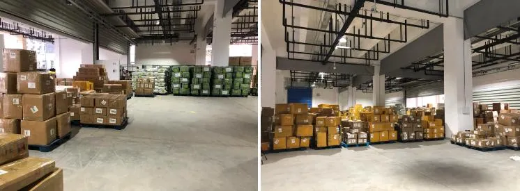 Freight Forwarder DDP