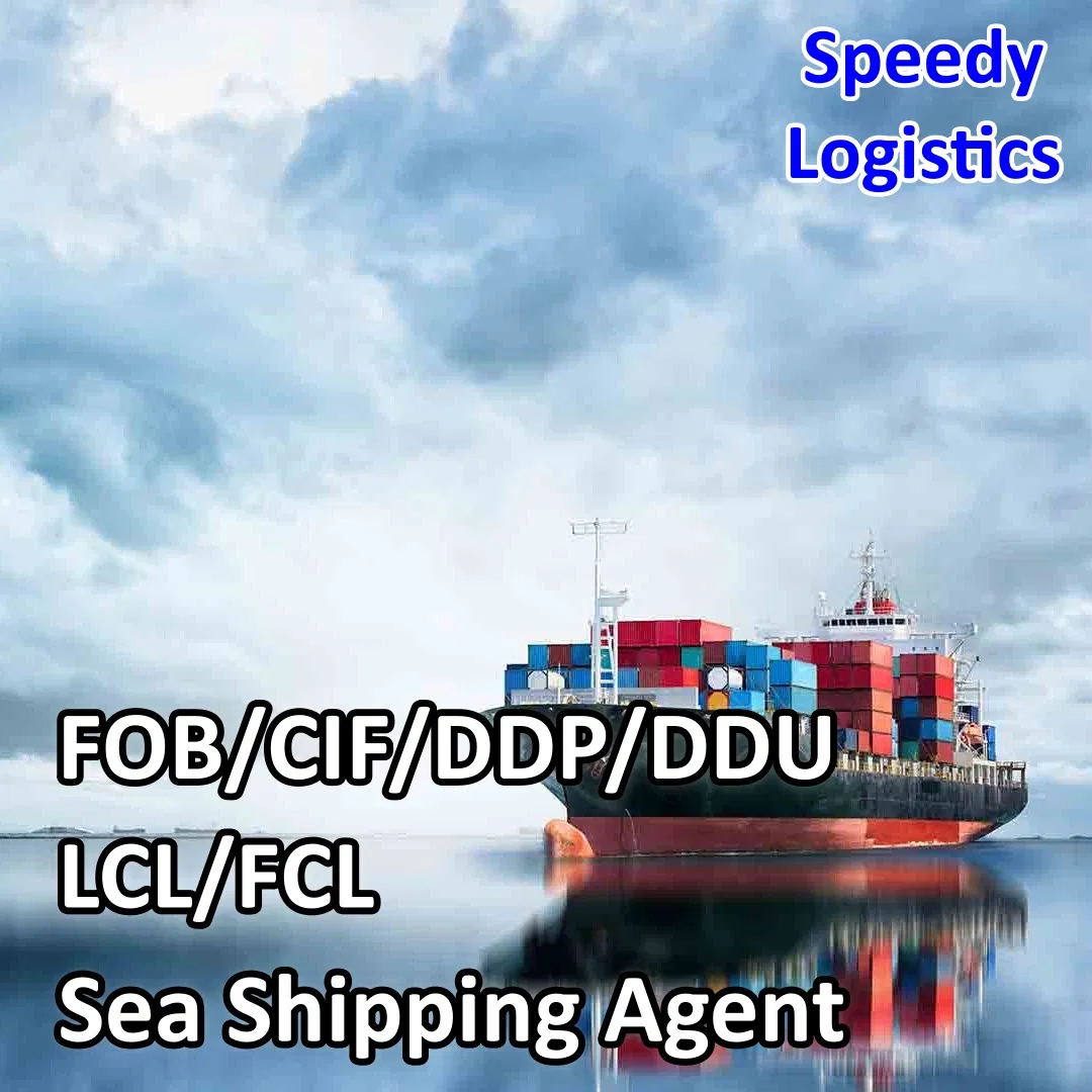 Sea Cargo Shipping Agent Freight Forwarder Shipping to USA, Canada, Sweden, India, Morocco, Mexico, Malaysia, Taiwan, Vietnam, India, Philippines Logistics
