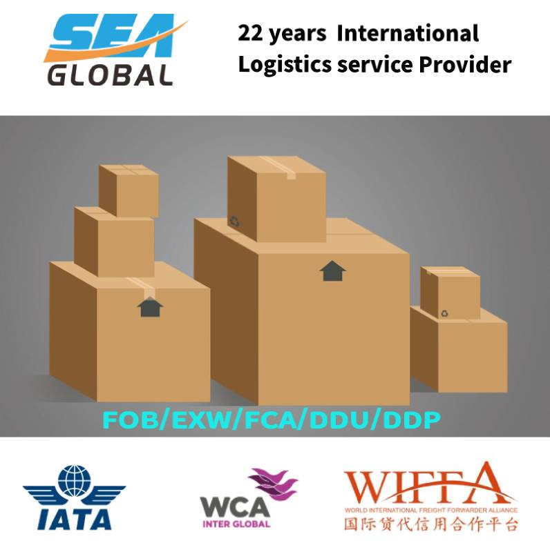EXW LCL Logistics Forwarder Service to Australia New Zealand UK Ireland USA Canada