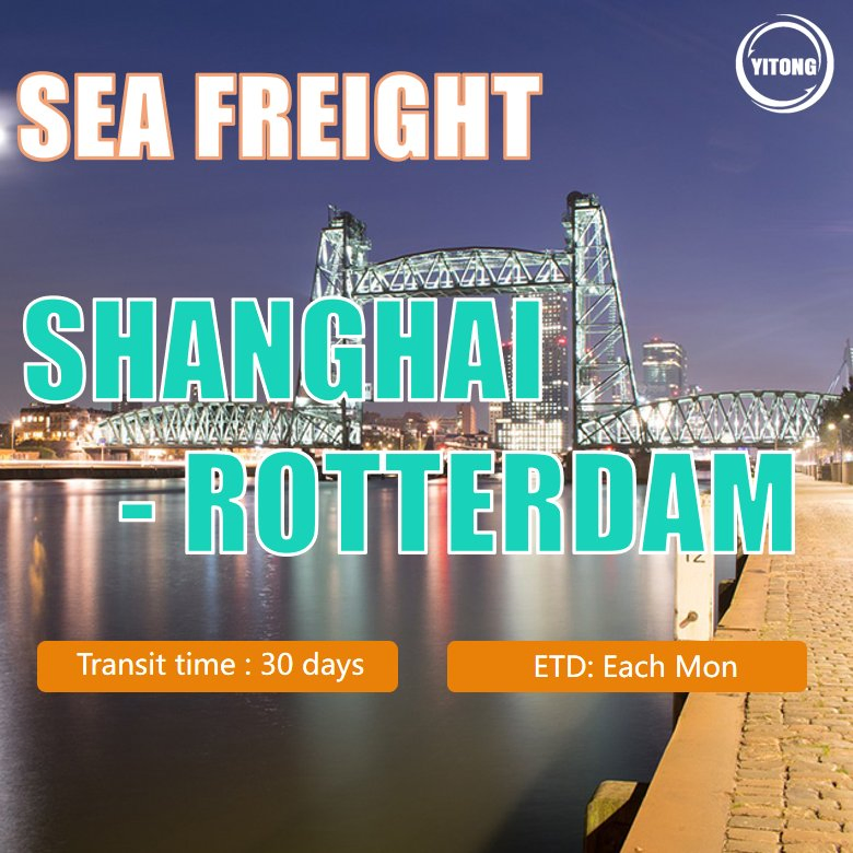 Logistics Agent Freight Forwarder Forwarder Shipping Agent Export Agent Shipping Agent Sea Freight From Shenzhen China to Rotterdam Holland