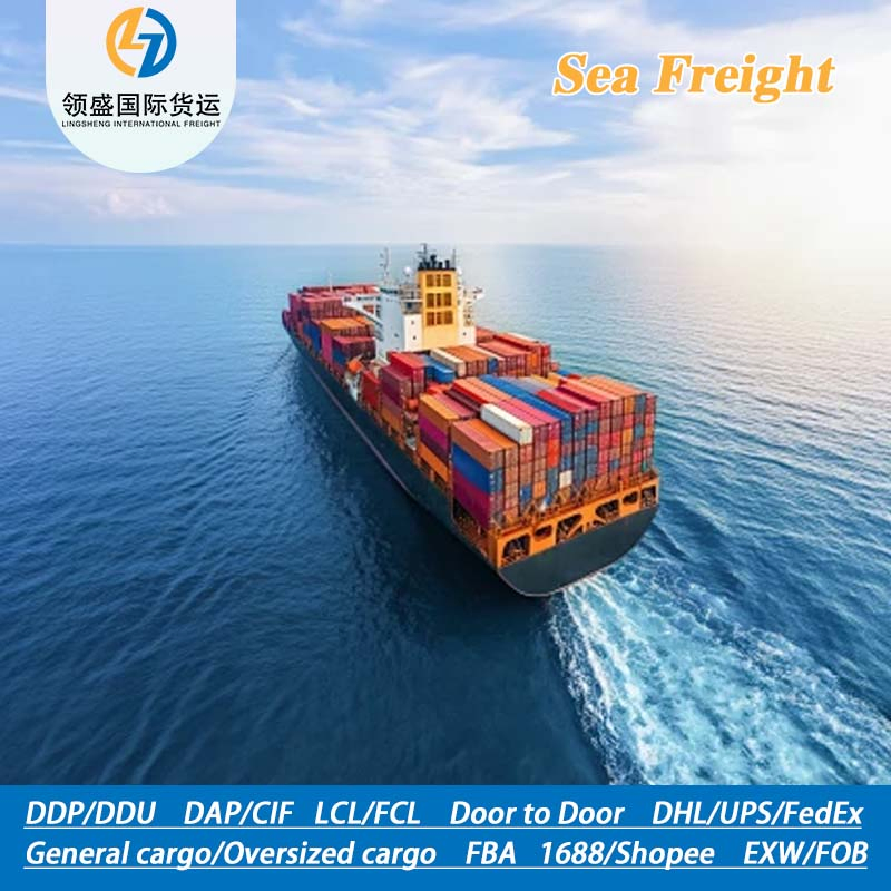 Professional DDP Door-to-Door Sea Freight Service for Czech Import &amp; Export Cargo