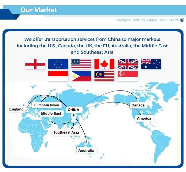 Sea Container DDP Shipping Agent LCL Fba China to Germany France Spain Italy Netherlands Freight Forwarder Logistics Service