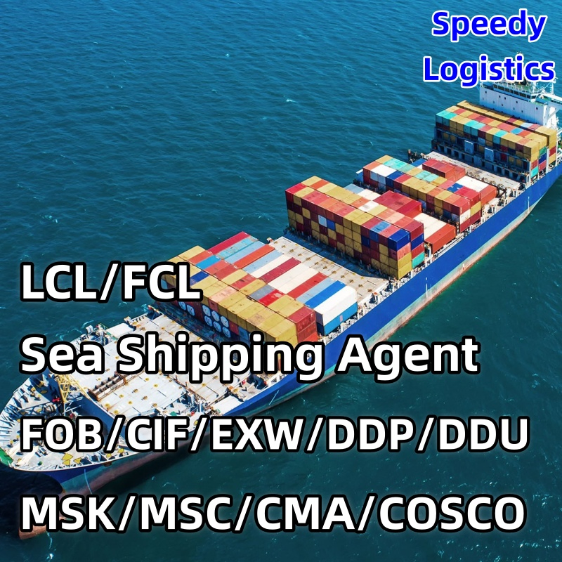 Sea Freight Forwarder to USA, Indonesia, France, Italy, Rotterdam Services Container Cargo Shipping Agent