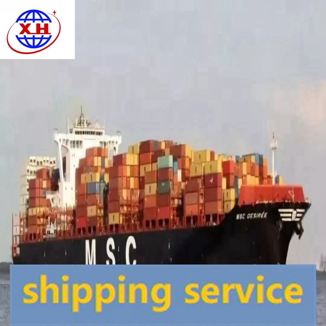 Sea Transport Shipping Agent From China To South Africa DDP DDU Service Sea Freight Logistics