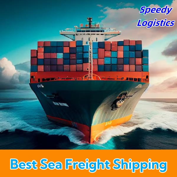 DDP Sea Shipping Agent Freight Forwarder to UK, USA, Germany, Spain, Thailand, Nigeria, Argentina, Vietnam, Netherlands Shipping Company Logistics Service