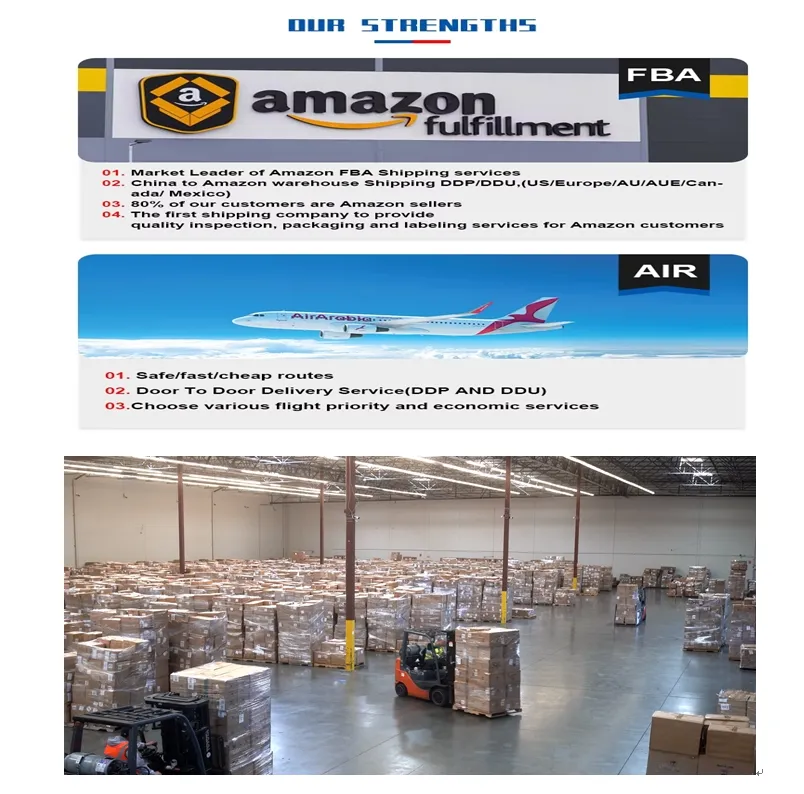 Door to Door Sea Freight DDP DDU