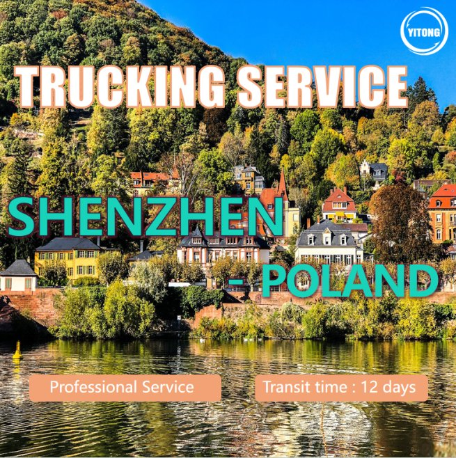 Global Shipping Agents DDP Services Shipping Agent Cargo Agent Freight Sea Freight Freight Forwarder Trucking Freight From Shenzhen to Poland Drop Shipping