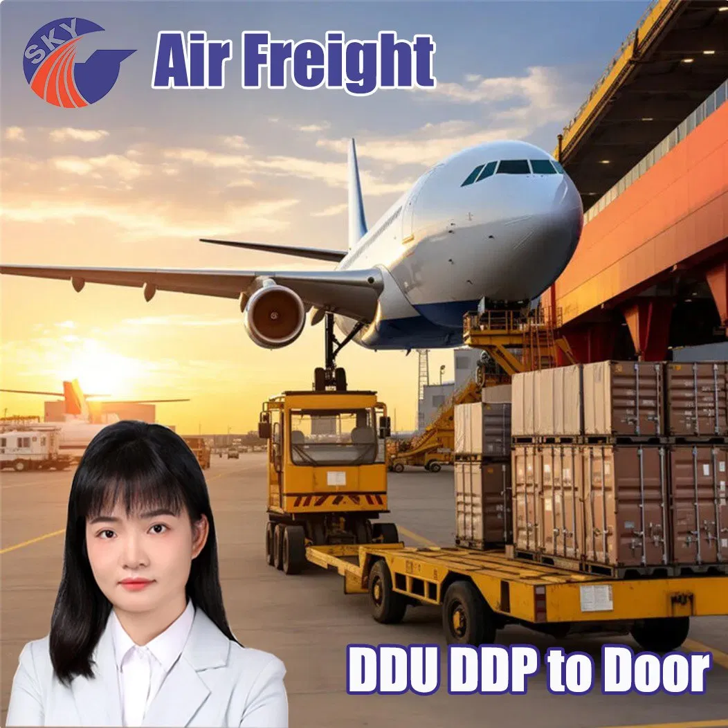 Reliable Forwarder Logistics Services DDP Shipping Agent Express to Africa Algeria Congo Fast Air Freight