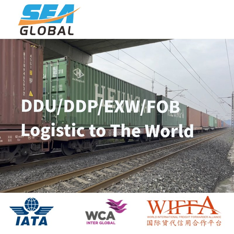 EXW LCL Logistics Forwarder Service to Australia New Zealand UK Ireland USA Canada