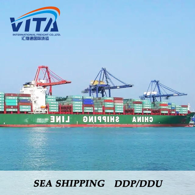 Direct Ocean Shipping Line From China to Brazil, Chile, Focus on South America Market Logistics Support