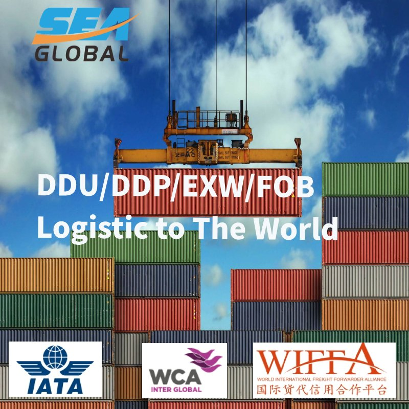 EXW LCL Logistics Forwarder Service to Australia New Zealand UK Ireland USA Canada