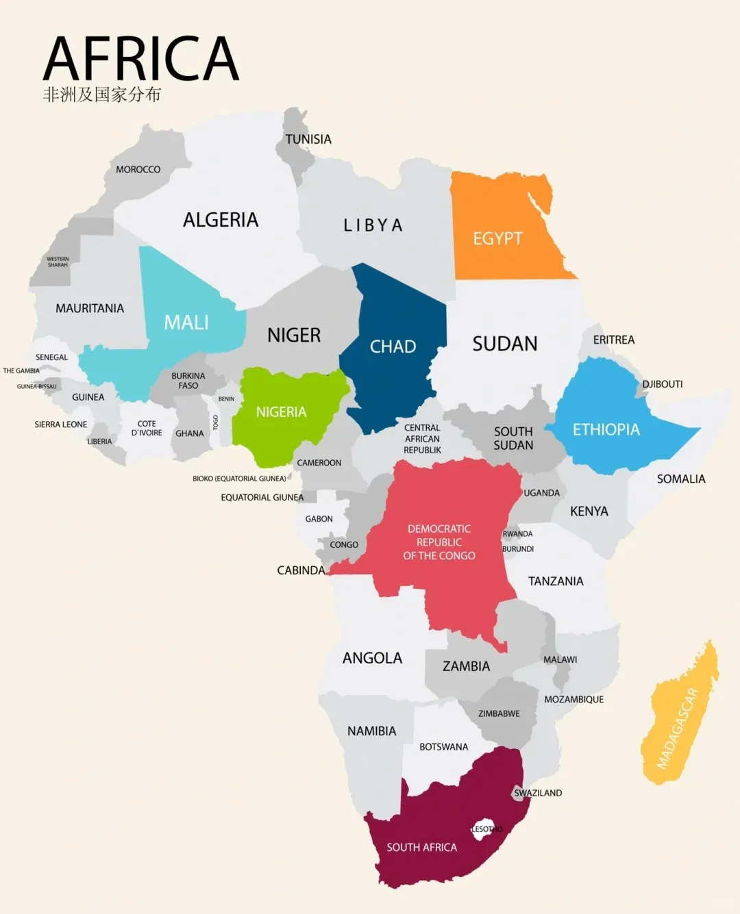 DDU International Express Freight Forwarder to Africa Door to Door Express Delivery