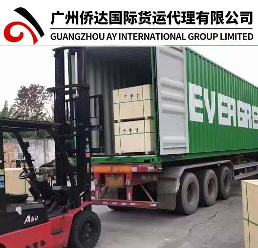 Express Delivery Service by Air/Sea/Ocean Cargo/Freight/Shipping Container LCL Agent From China to Africa, Algeria, Algiers Fast Logistics Shipping