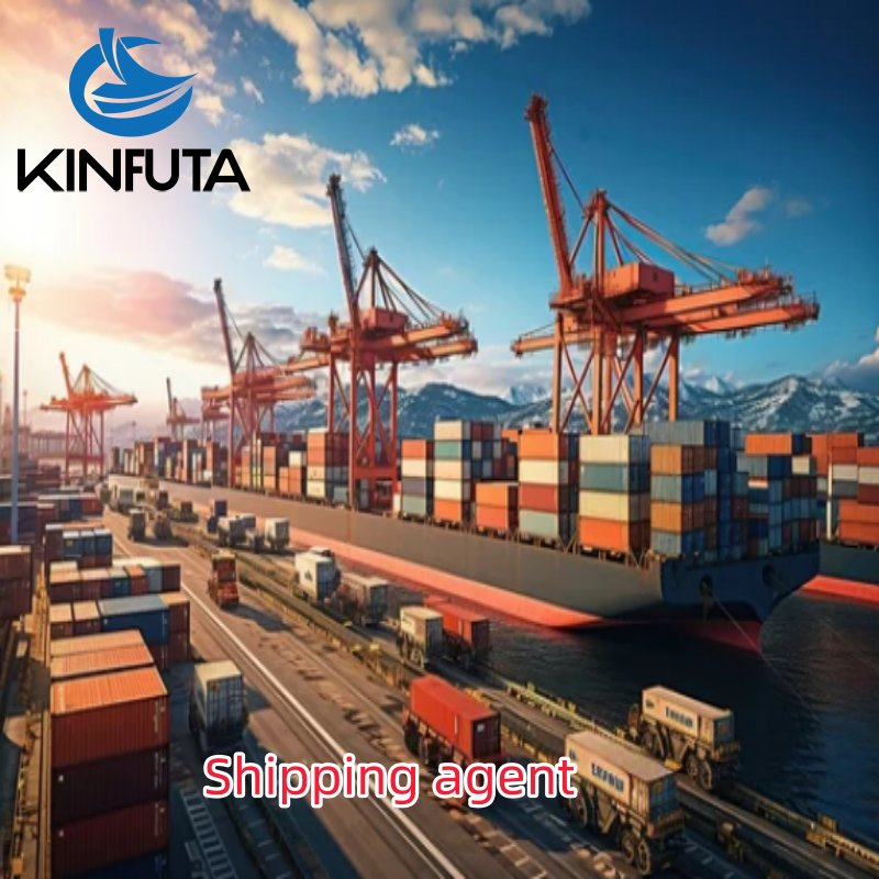 LCL FCL DDP Door to Door Delivery Service Sea Freight Ocean Shipping Agent China to Aarhus/Copenhagen/Aalborg/Kolding/Odense/Torshavn/Nuuk/Esbjerg