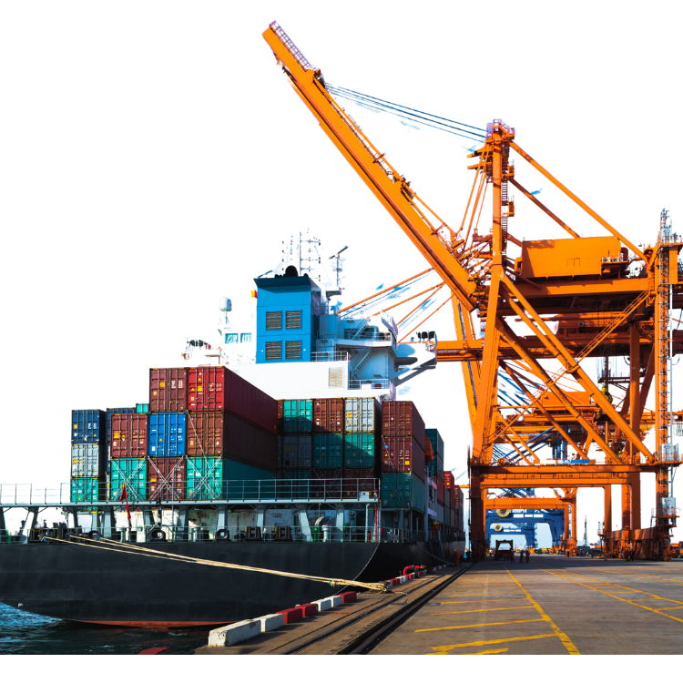 Cheapest Logistics Shipping Rates Courier Service to Door UAE Air/Sea/Express Cargo China Freight Forwarder