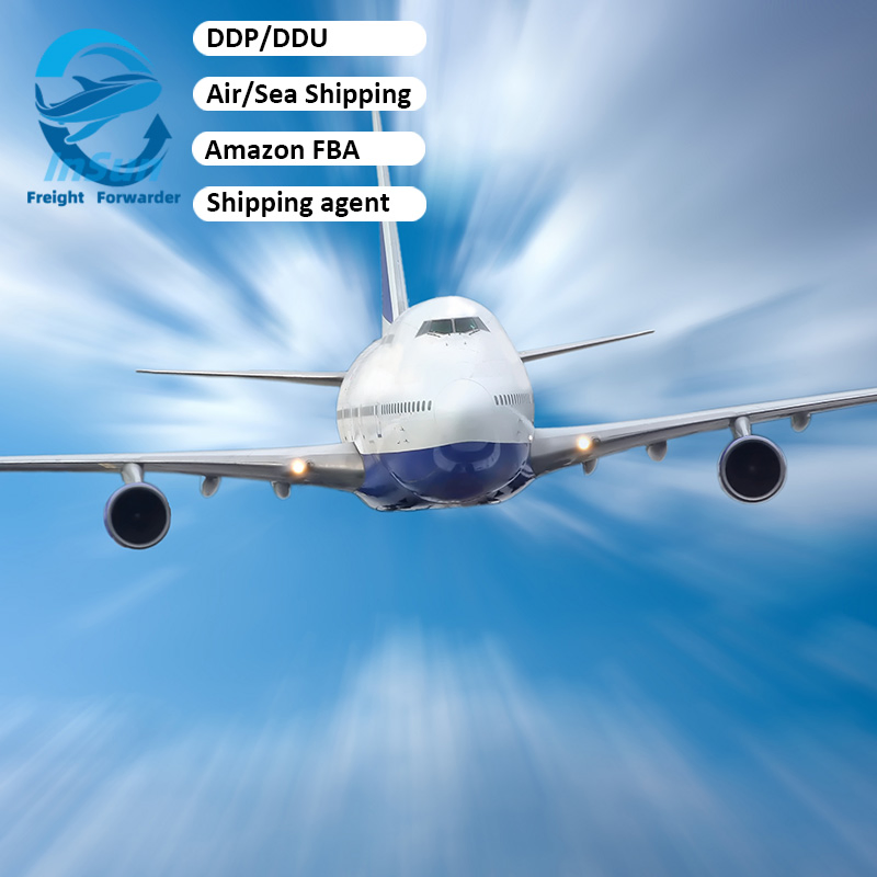 DDP DDU Shipping Consolidation Quality Inspection Goods Express Services Sea Freight to USA Hungary Bulgaria Netherlands Freight Forwarding to Canada