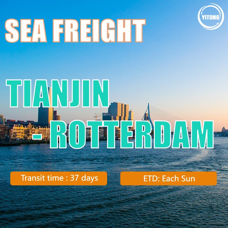 Logistics Agent Freight Forwarder Forwarder Shipping Agent Export Agent Shipping Agent Sea Freight From Shenzhen China to Rotterdam Holland
