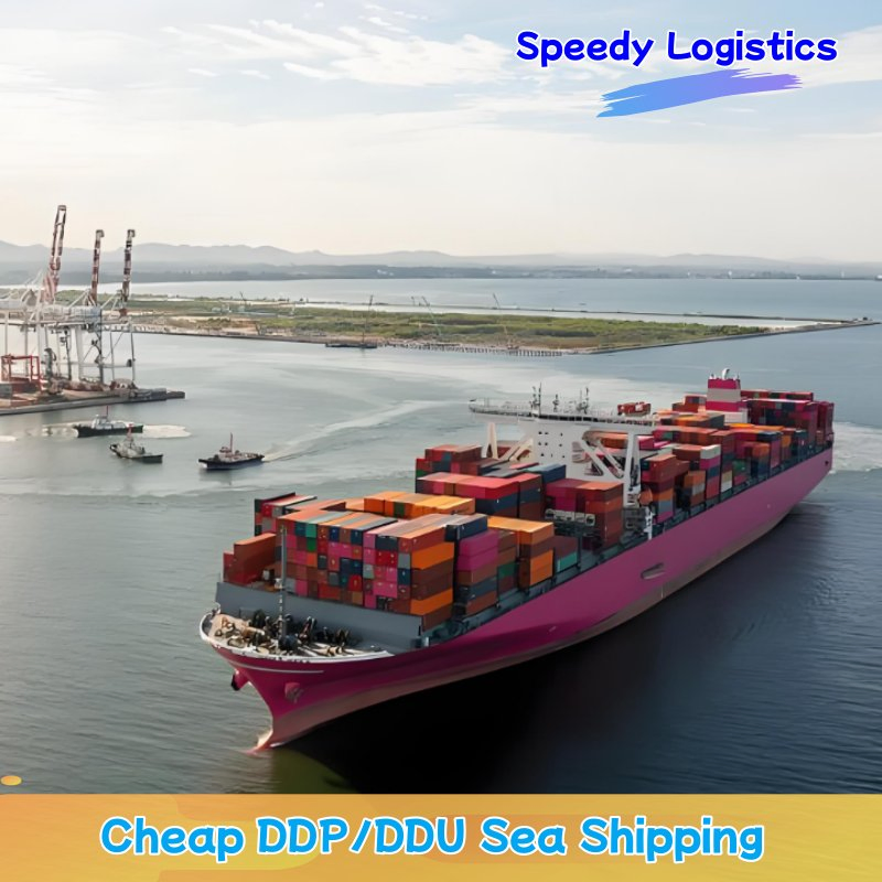 Sea Freight Forwarder to Australia, UK, USA, France, Germany, Qatar, UAE Transportation Shipping Agent Delivery Service