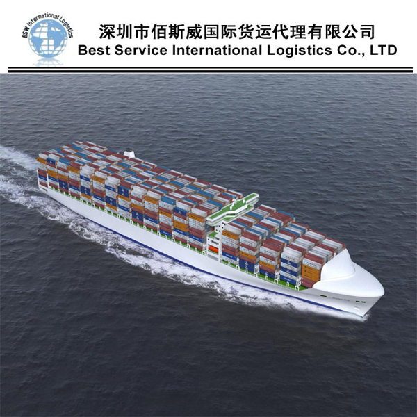 Safe and Cheapest Ocean Shipping International Freight Forwarder to Sea Fright From China to Syria, Lattakia, Lebanon, Israel, Palestine