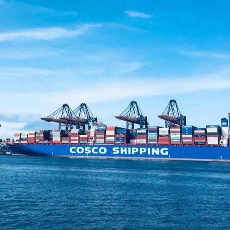 Affordable Sea Freight Shipping for Batteries From China to USA