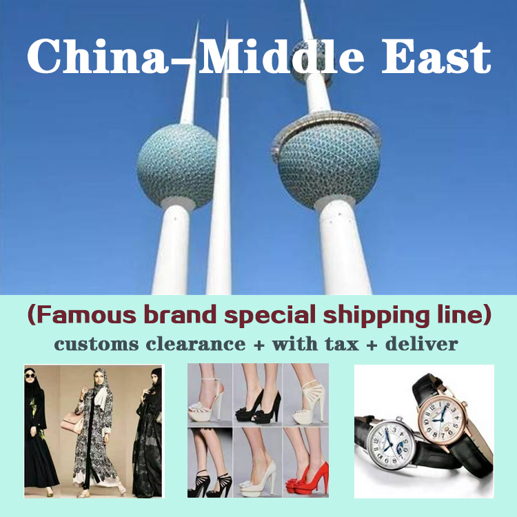 Cheap Rate Air Cargo/Freight Forwarding China to The Middle East UAE, Oman, Qatar, Bahrain