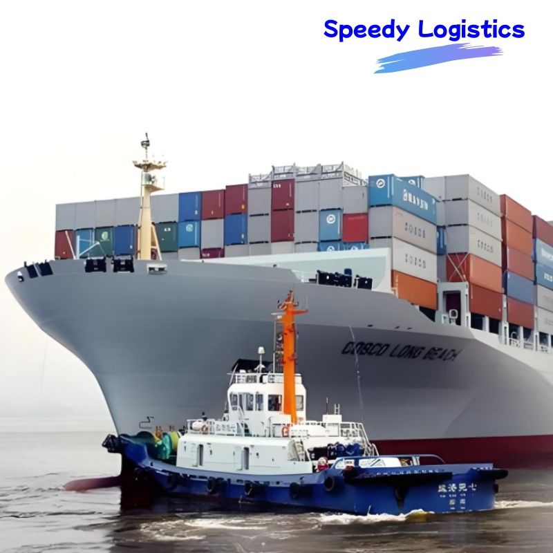 Fast Sea Shipping Agent to Nigeria, Germany, France, Bangladesh, India, Pakistan, Sri Lanka Sea Freight Forwarder Logistics Forwarding Shipping Service